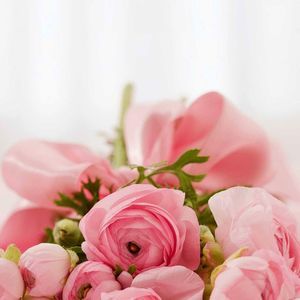 Meet your Posher, Ann